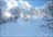Nagano Powder Zone